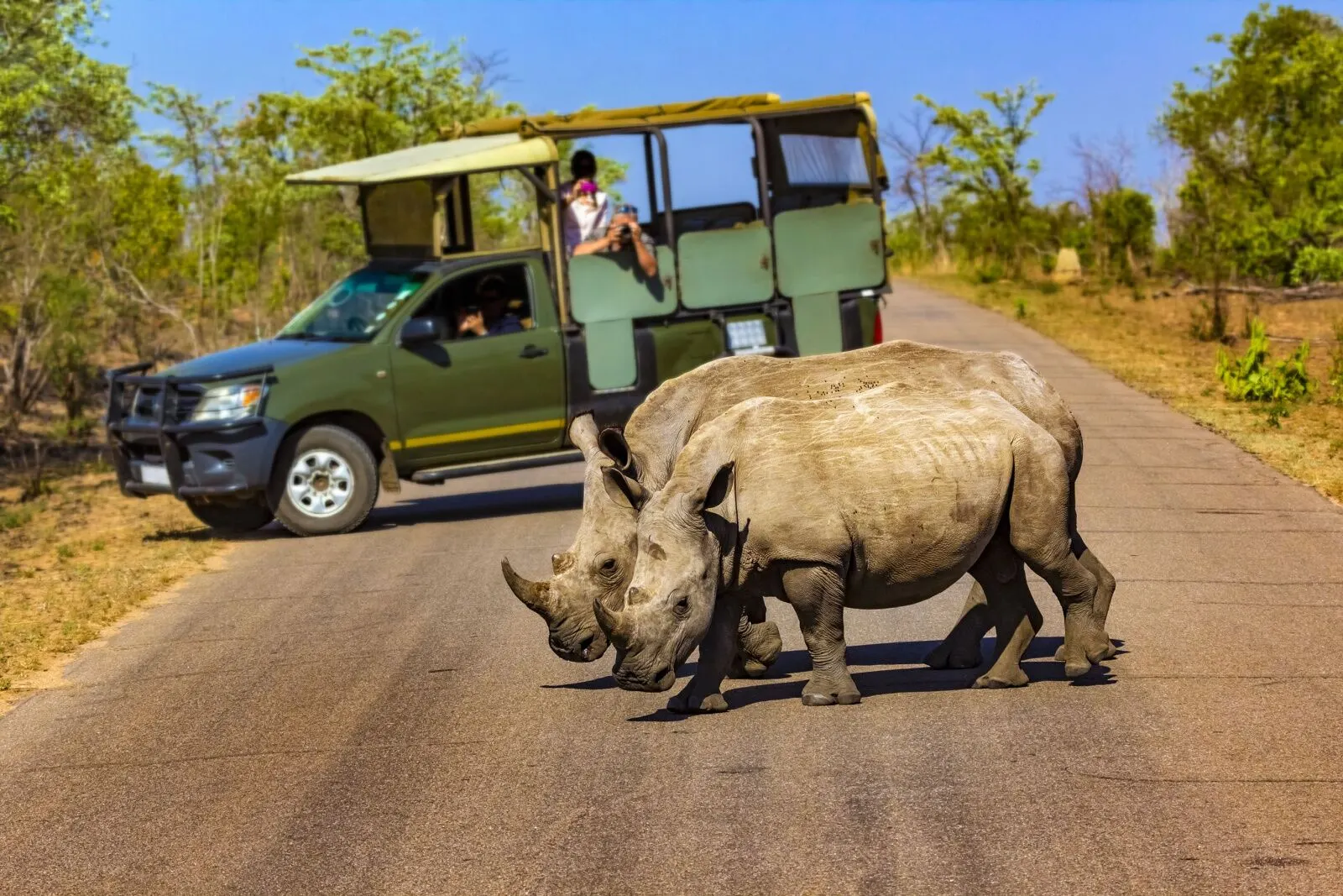 8-day couple South Africa tour package focus across Kruger National Park