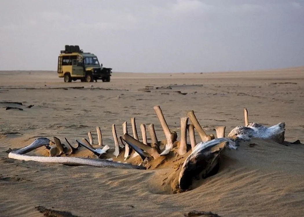 7-day Twyfelfontein mokoro safari focus in Skeleton Coast On Namibia Safari Tours