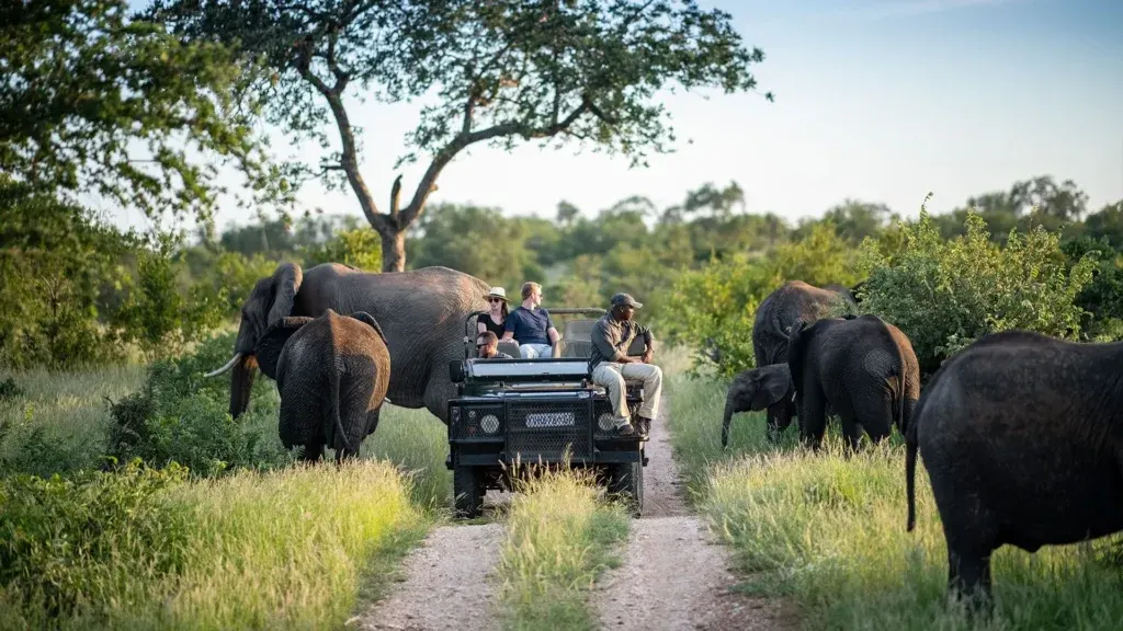 7-day honeymoon package in South Africa focus across Hluhluwe-iMfolozi Park