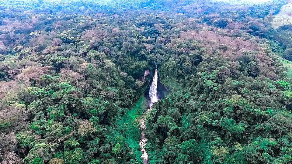7-day DR Congo Rumangabo itinerary focus across  Kahuzi-Biega National Park On Congo Safaris
