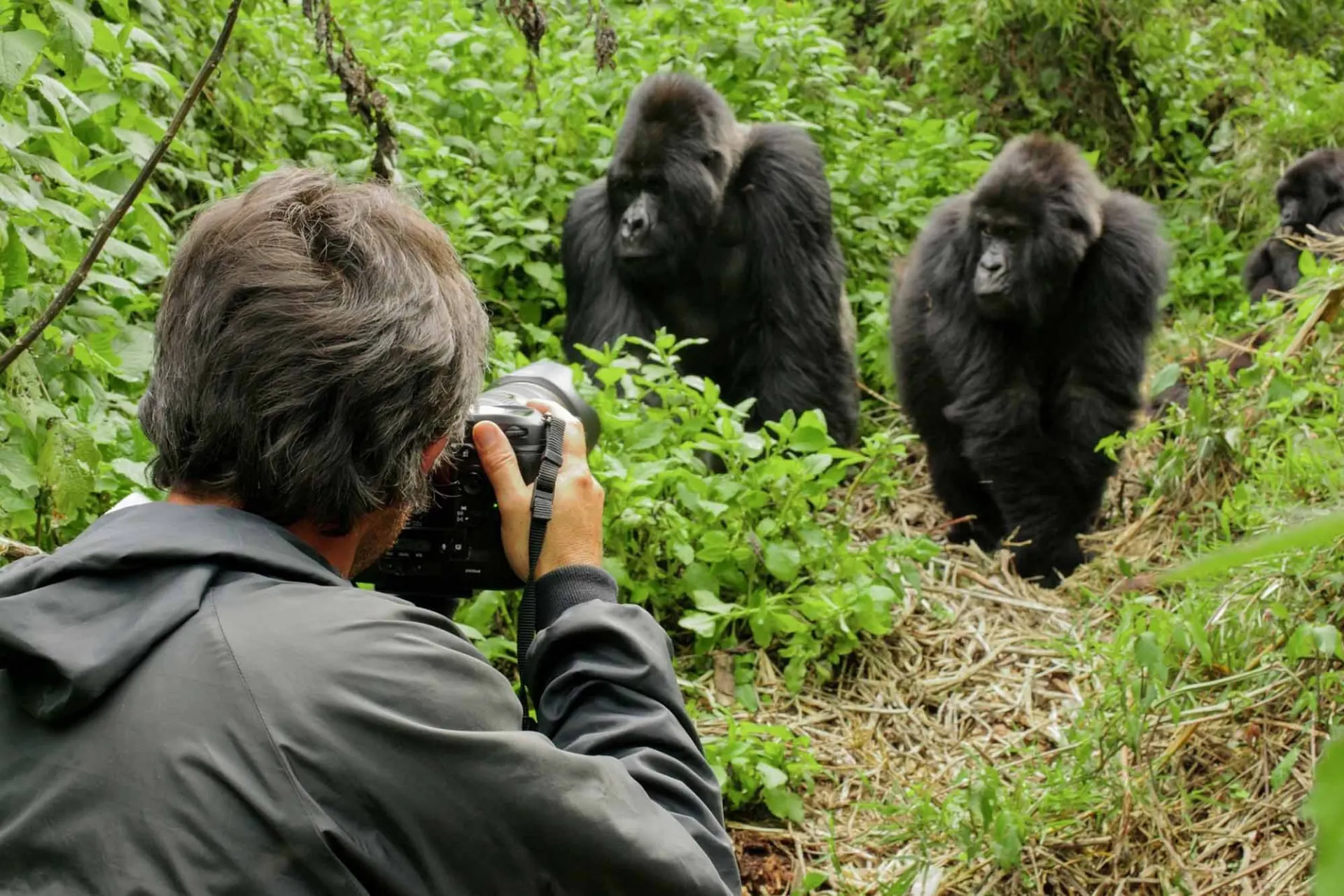 6 Day Family Wildlife Safari Tours in Rwanda