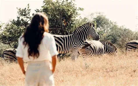 10-day Mozambique Medjumbe vacation On Mozambique Safaris  