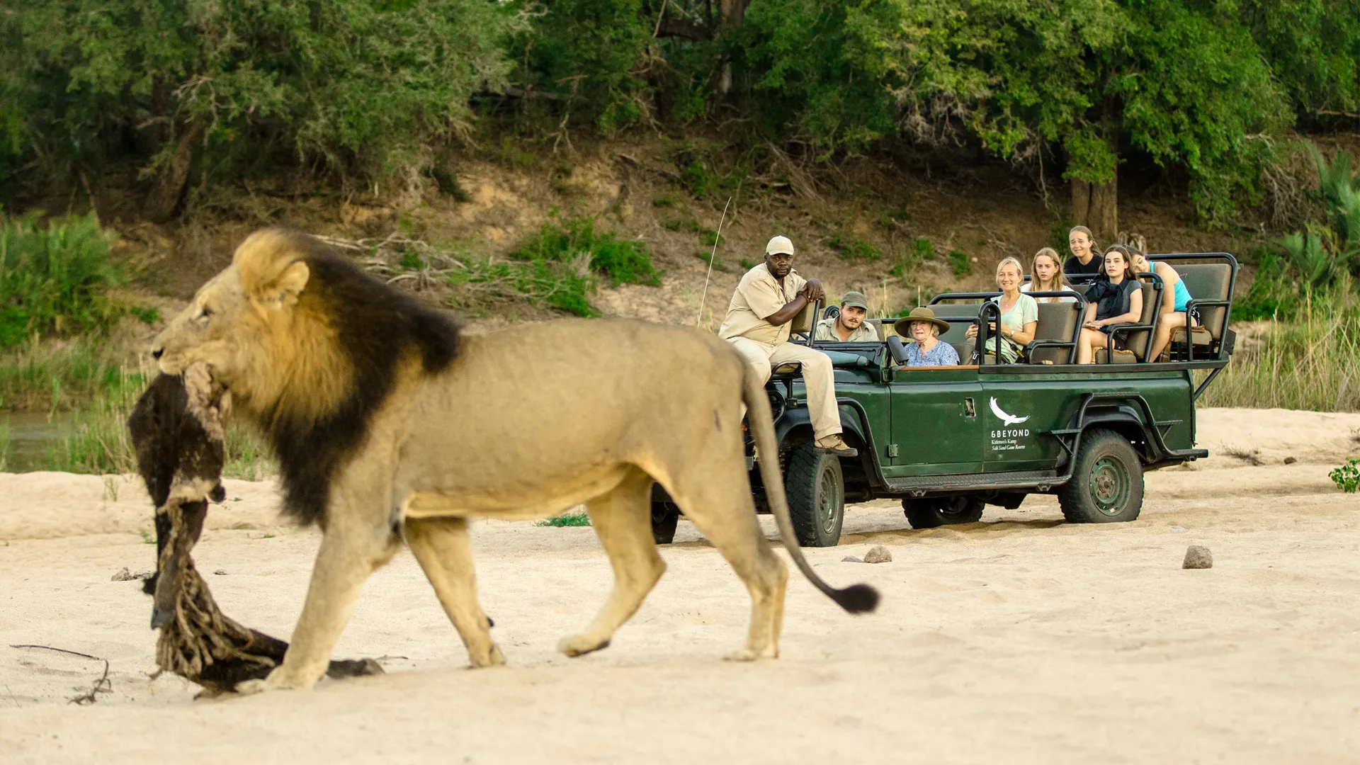 10-day Madikwe lion safari focus across in Addo Elephant National Park On South Africa Safari