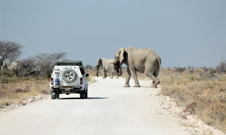 7-day game drive Damaraland Namibia Safari Tours in Damaraland