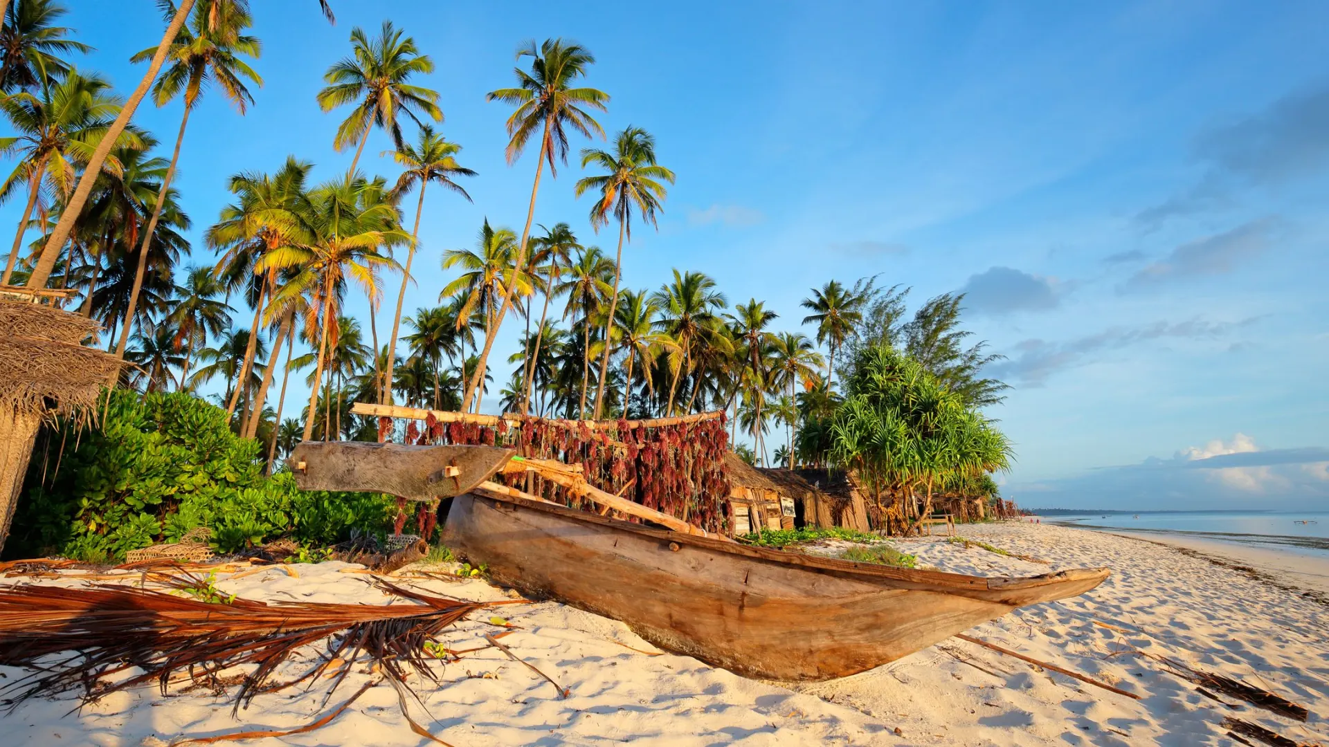 Tanzania Beach Holidays safari category