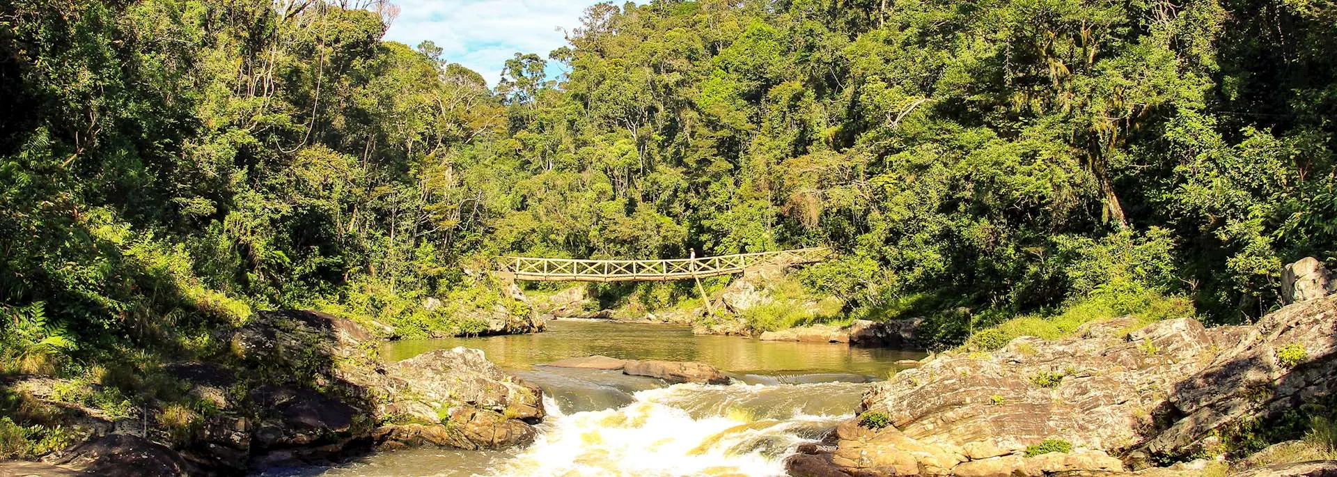 6-day Madagascar Morondava holiday Tours focus across Ranomafana National Park