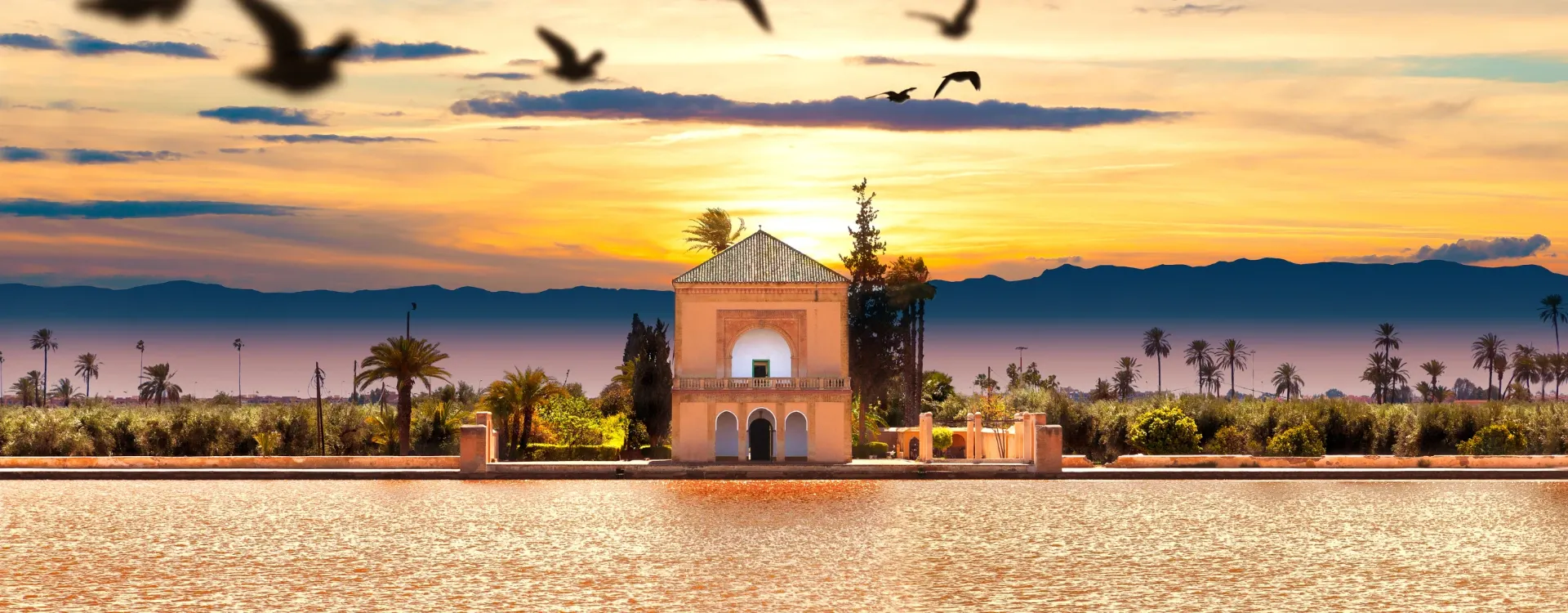 8-day Best safari Fes Morocco focus across Essaouira coast