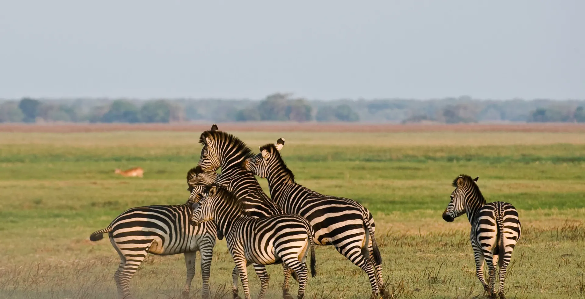 10-day Mosi-oa-Tunya trip focus across  Lower Zambezi National Park On Best Zambia Safaris
