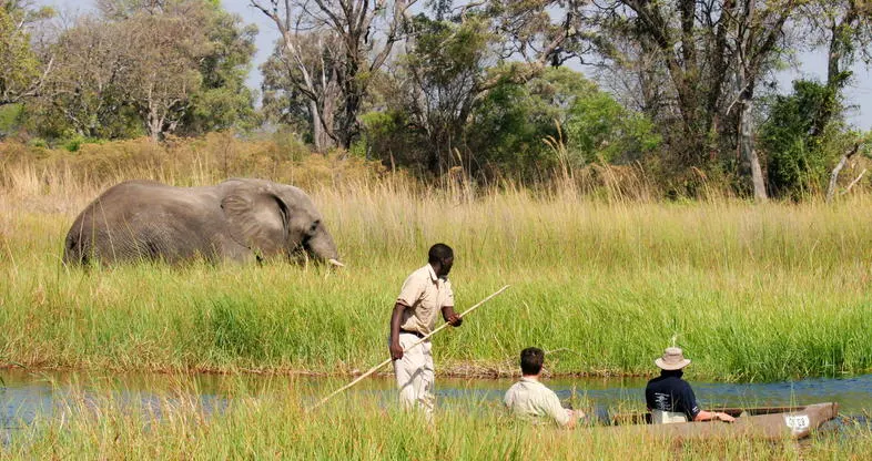 10-day safari Kasane in Moremi Game Reserve on Botswana Safaris