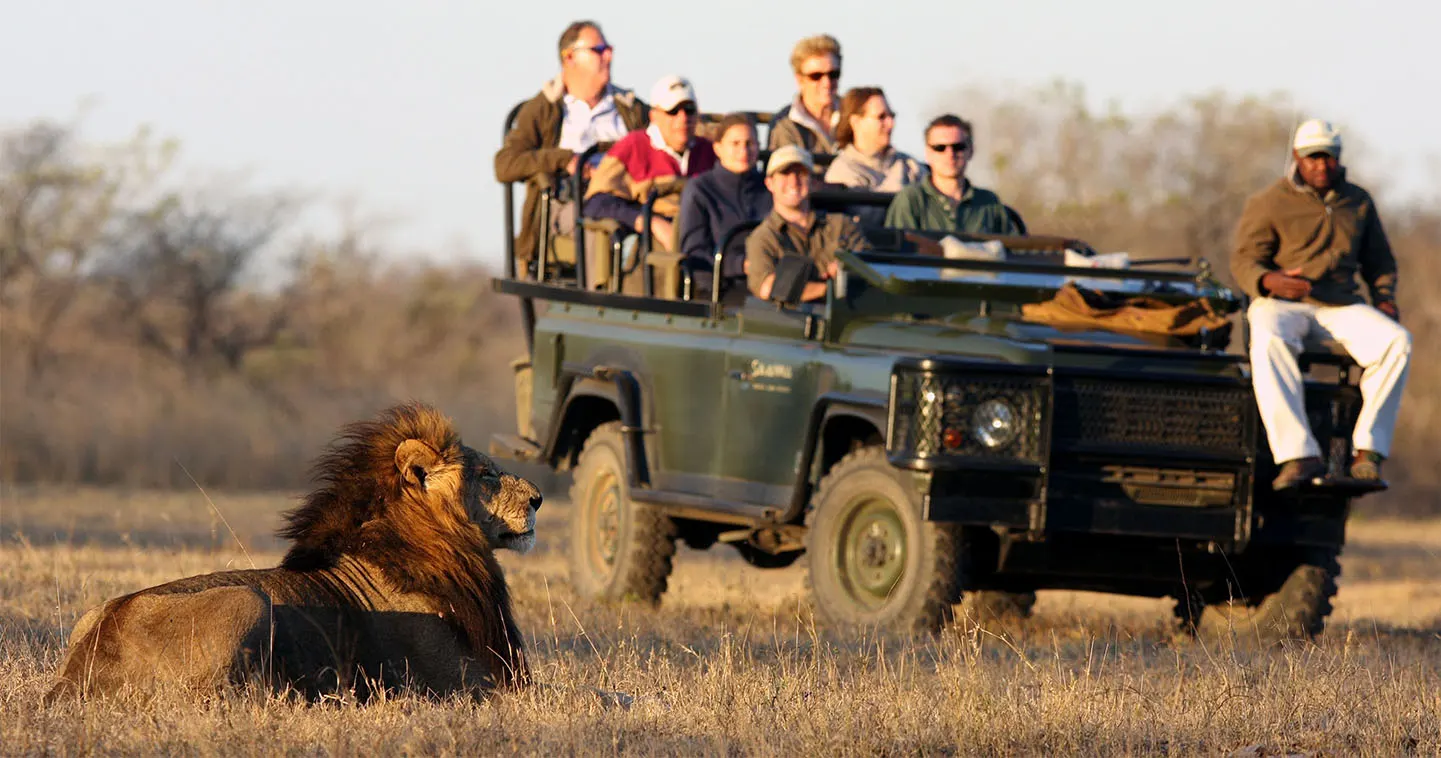 9-day big five safari Sabi Sand South Africa focus across Addo Elephant National Park