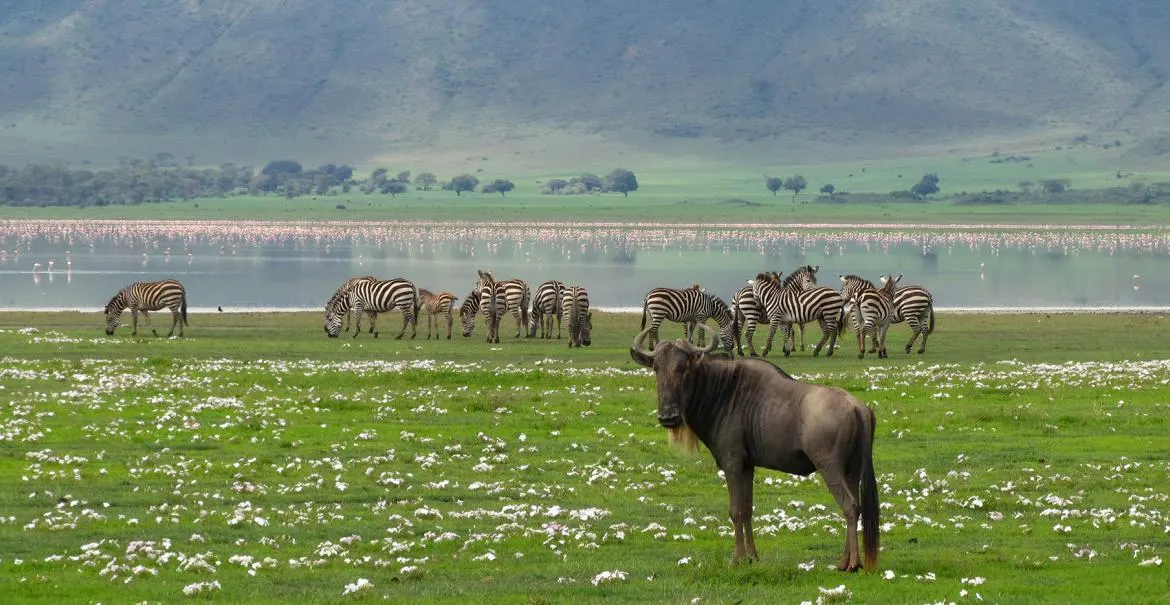 9-day Pemba prices in Ngorongoro Conservation Area on a luxury tanzania safari