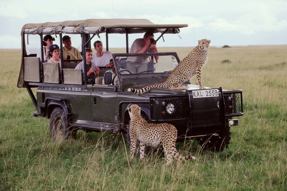 9-day Inhambane leopard safari Mozambique Guided time in Gorongosa National Park