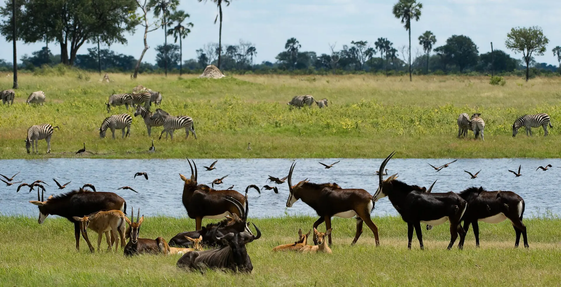 8-day Matusadona holidays On Zimbabwe Safaris and Guided time in Mana Pools National Park
