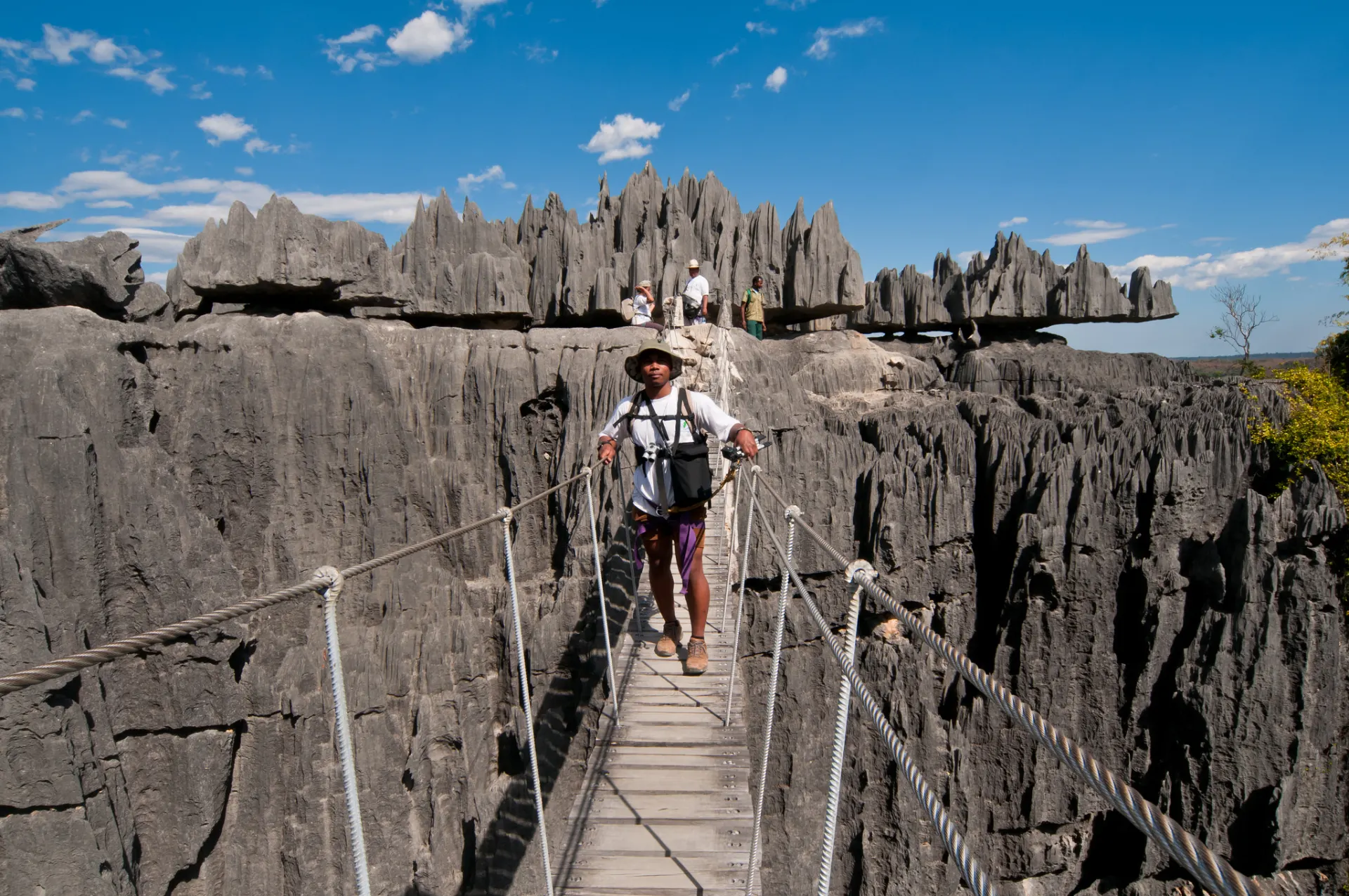 8-day Antananarivo Madagascar safari focus across Andasibe-Mantadia