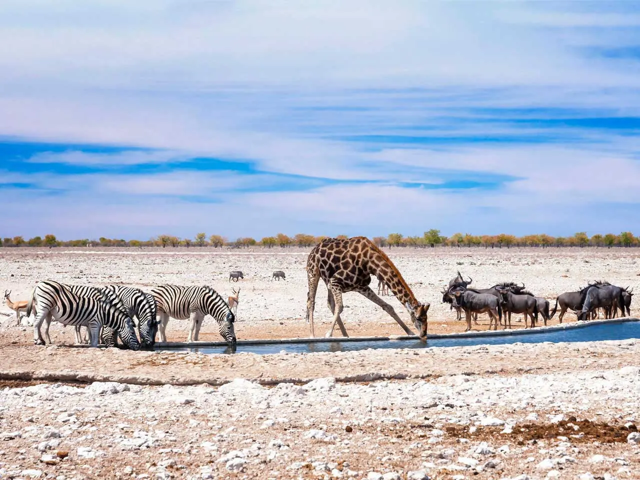 8-day Namibia Caprivi Strip trips  in Damaraland On Namibia Tour Safaris