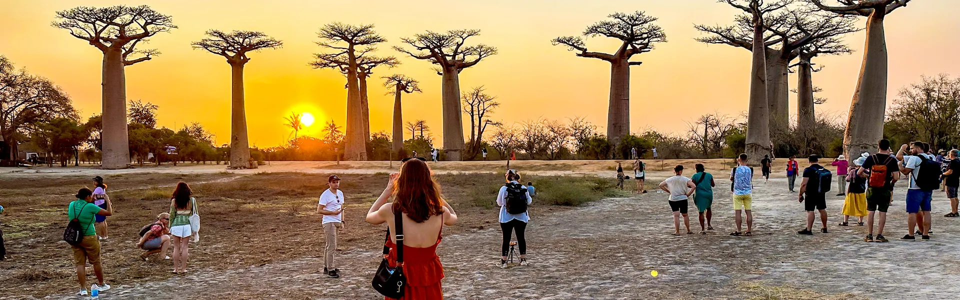 7-day Madagascar Avenue of the Baobabs tours focus across in Andasibe-Mantadia