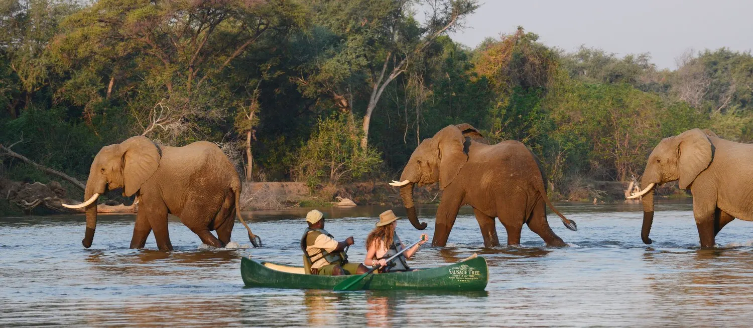 8-day Zambia Victoria Falls Zambia safaris focus across in Kafue National Park