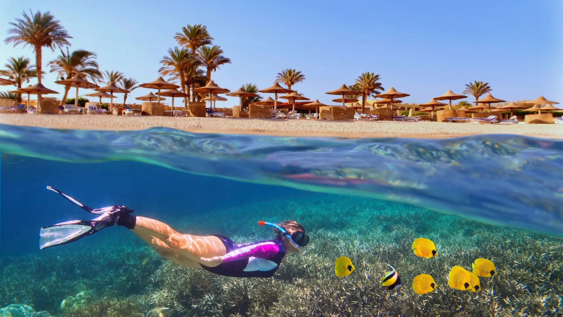 10-day Egypt Tours Giza in Red Sea coast