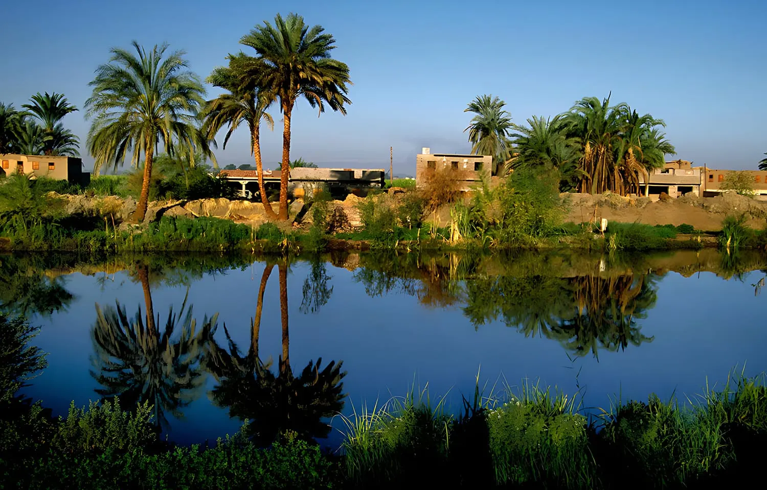 8-day desert oasis tour itinerary Egypt in Giza Plateau