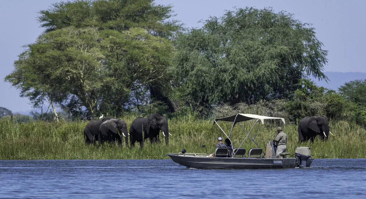 10-day Blantyre Malawi Safaris in Liwonde National Park