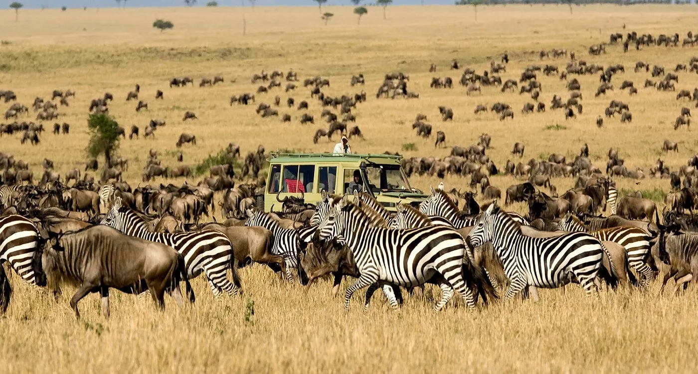 Kenya Safari Travel Tips: What First Time Visitors Need to Know