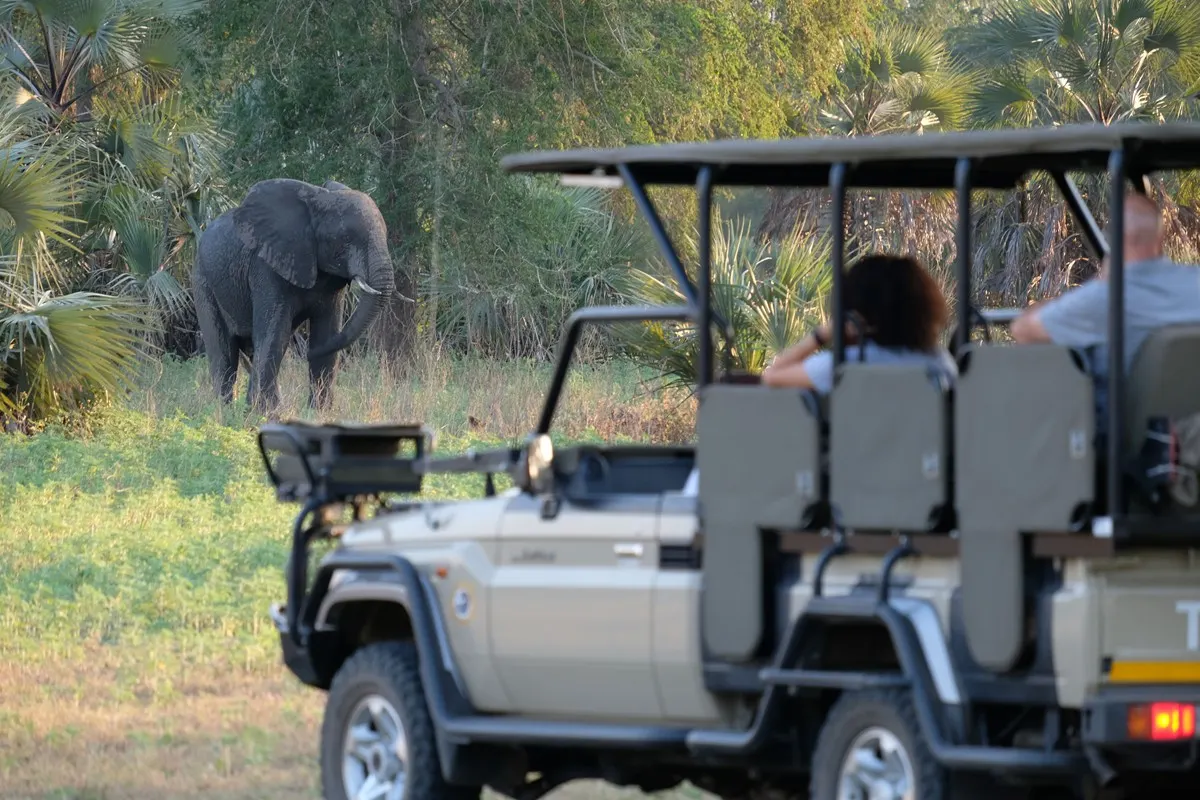10-day  Gorongosa safari Mozambique focus across  Bazaruto Archipelago