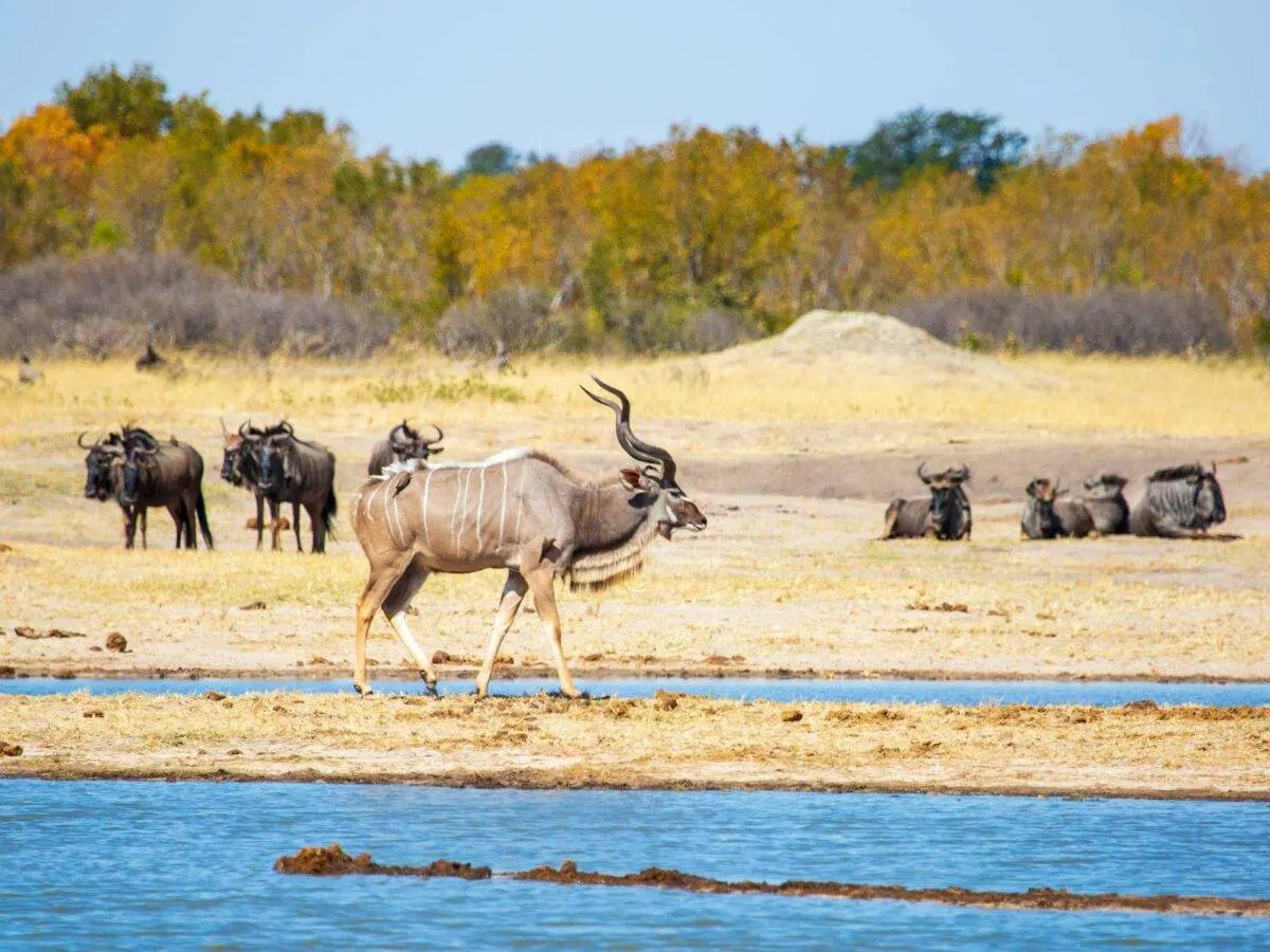 10-day Harare safaris Zimbabwe focus across Lake Kariba