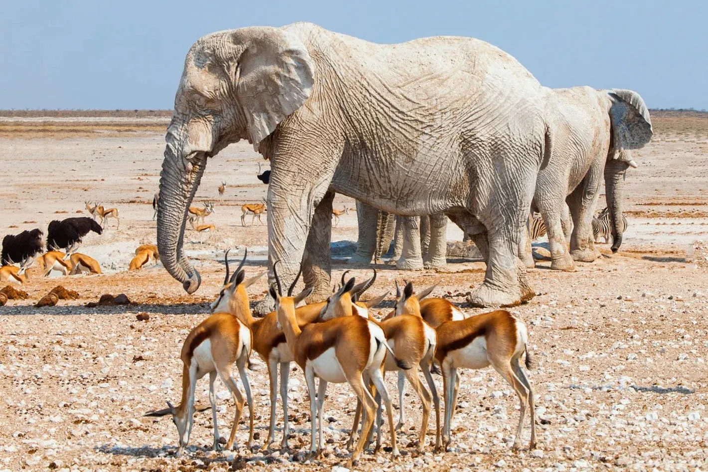 Namibia