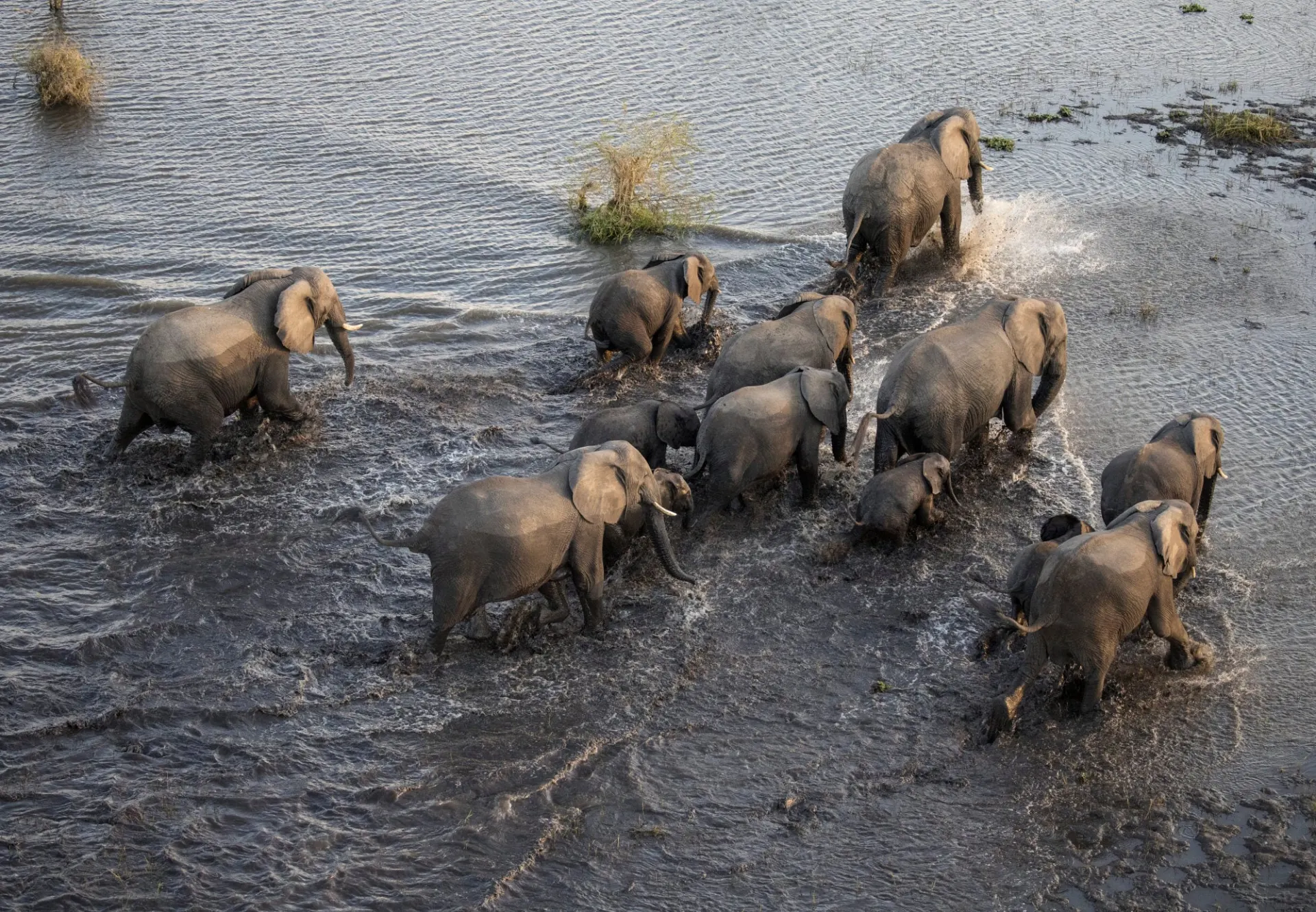 8-day Nkhotakota prices focus across Lake Malawi Safari Tours