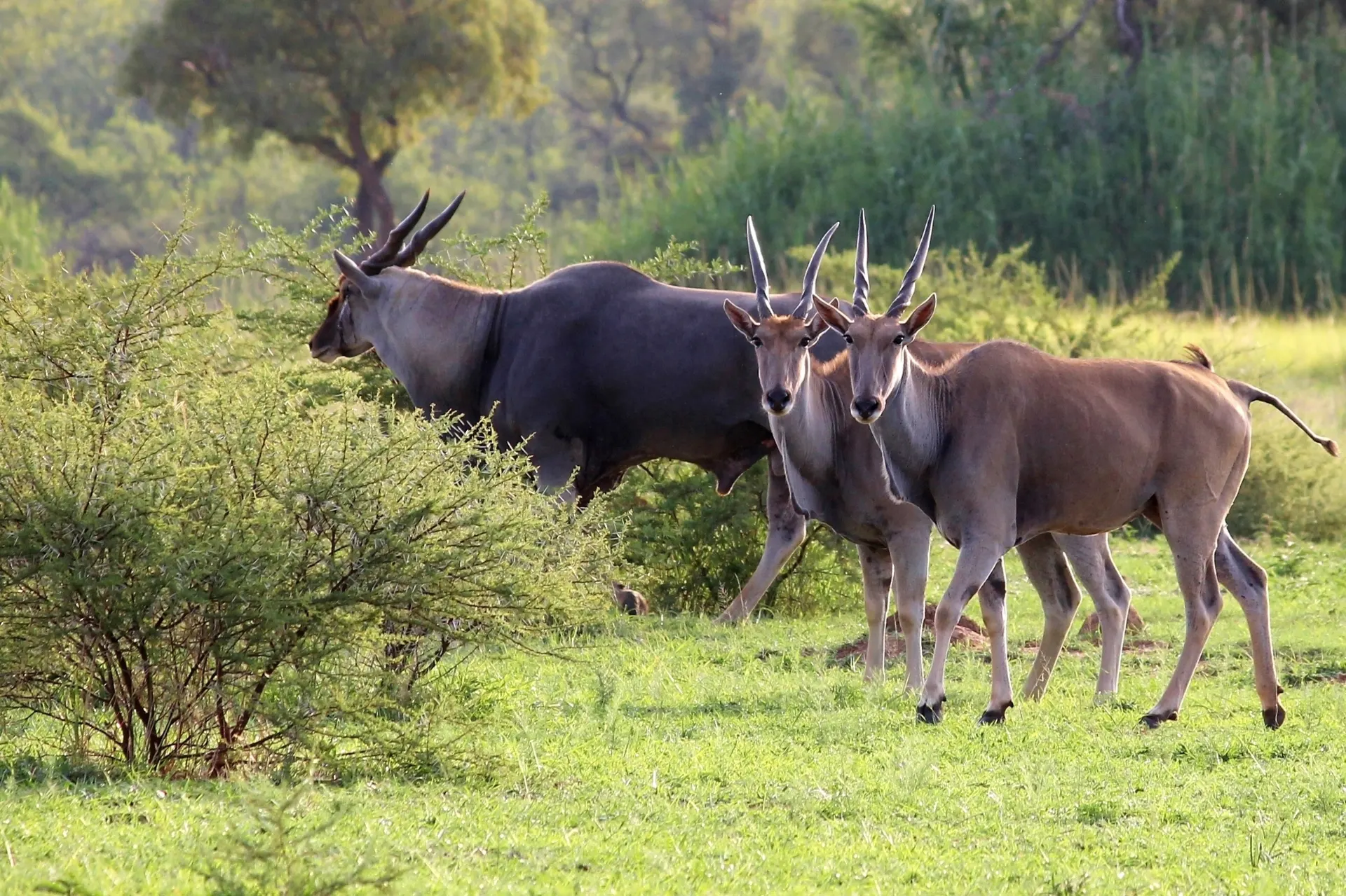 8-day Lake Malawi tour focus across Malawi Guided time in Nyika National Park