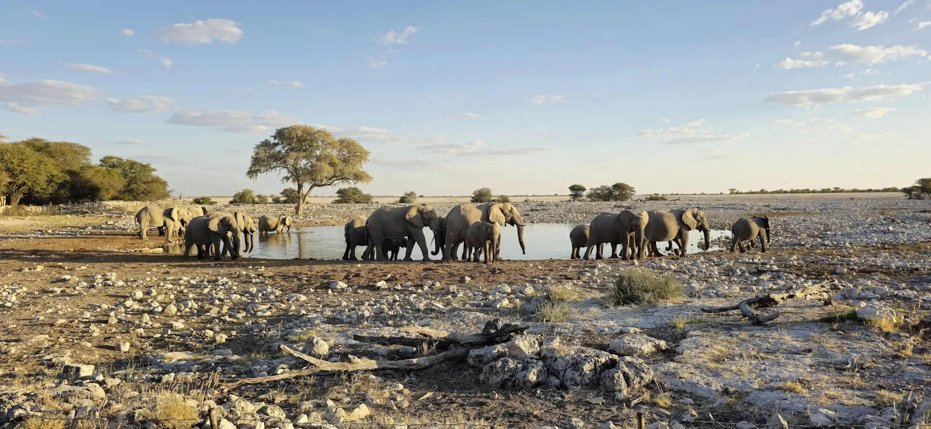 10-day Namib Desert mokoro safari in Etosha National Park on Namibia Safari