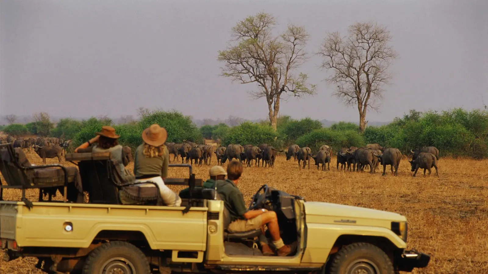8-day Matusadona Zimbabwe Safari Tours and Guided time in Lake Kariba