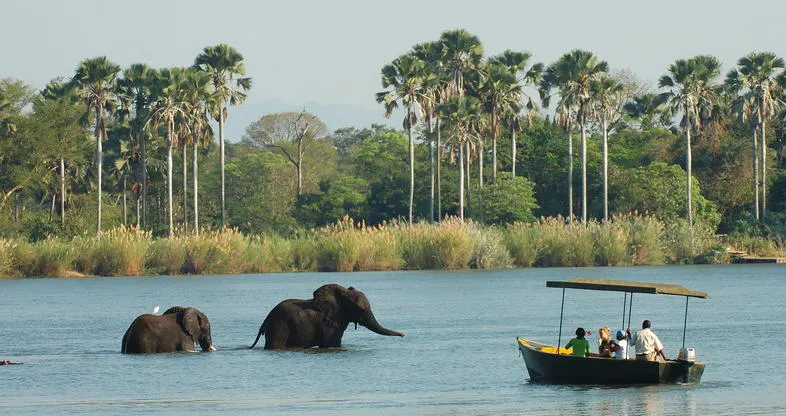 10-day boat safari Senga Bay Malawi Safari Tours in Nyika National Park