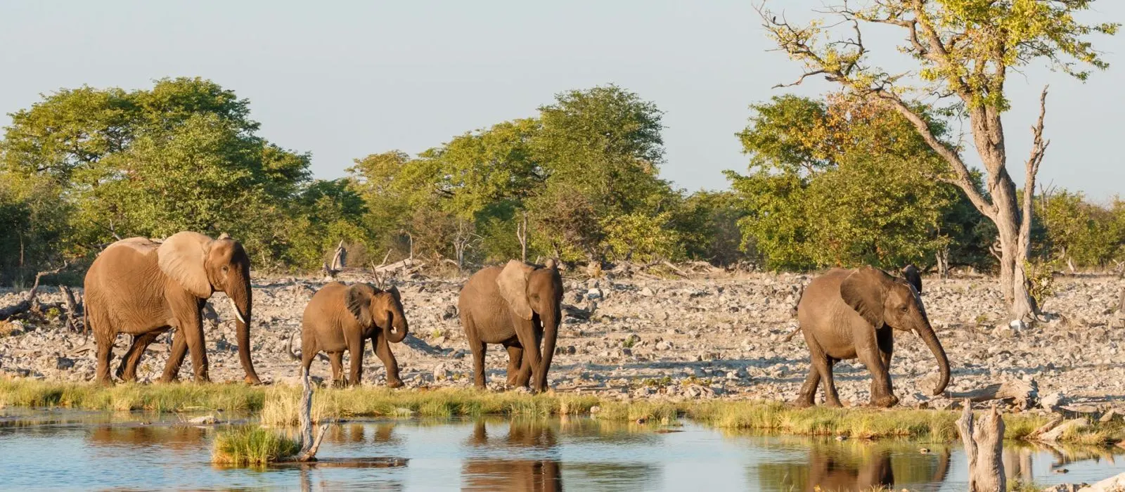 10-day safari Central Kalahari On Botswana  Safaris