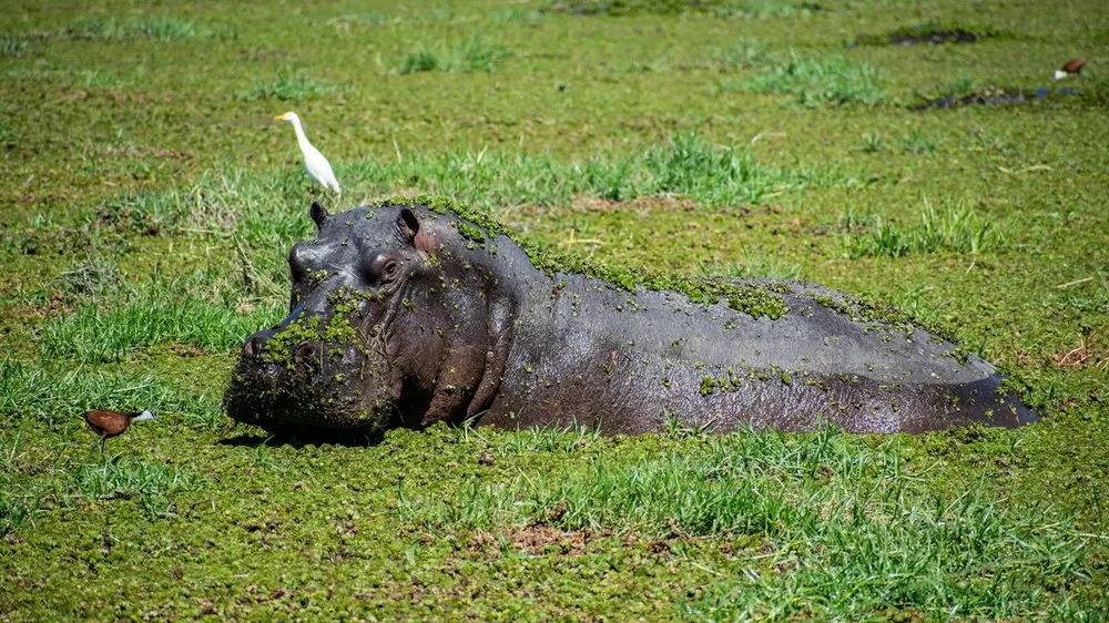7-day boat safari Central Kalahari Botswana in Makgadikgadi Pans
