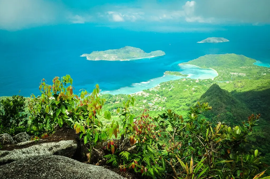 6-day La Digue Seychelles Tour focus across Vallée de Mai