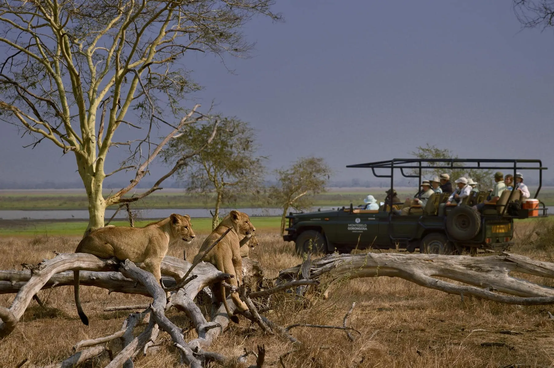10-day Ibo Island prices focus across Mozambique Safaris in Bazaruto Archipelago