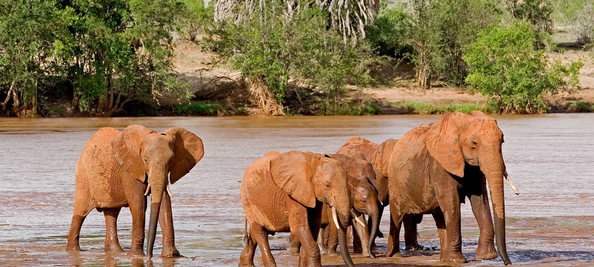 8-day Kenya Tsavo West tours in Tsavo West National Park On Kenya Safari Tours