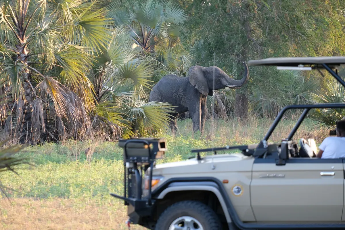 8-day Gorongosa prices focus across Mozambique Safaris in Quirimbas National Park