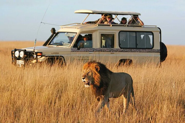 9-day Benguerra Island itineraries On Best Mozambique Safari Tours  