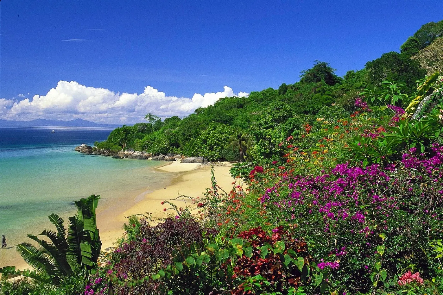 9-day Ifaty Game drive On Best Madagascar Tour Safaris Guided time in Avenue of the Baobabs