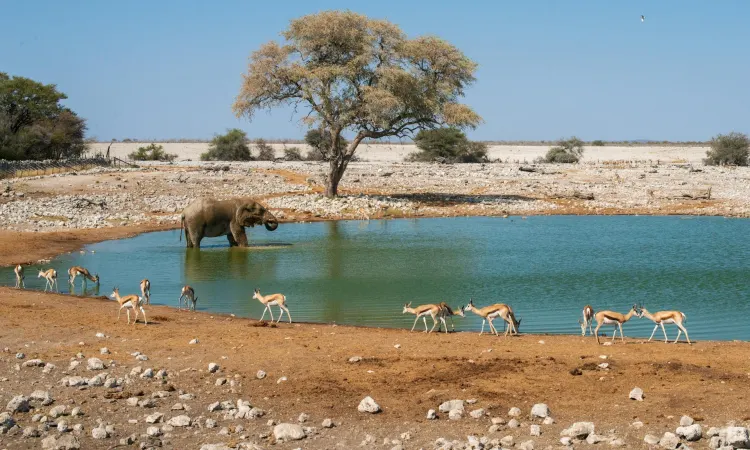8-day Best Namibia Safari Tour Swakopmund prices Namib-Naukluft Park