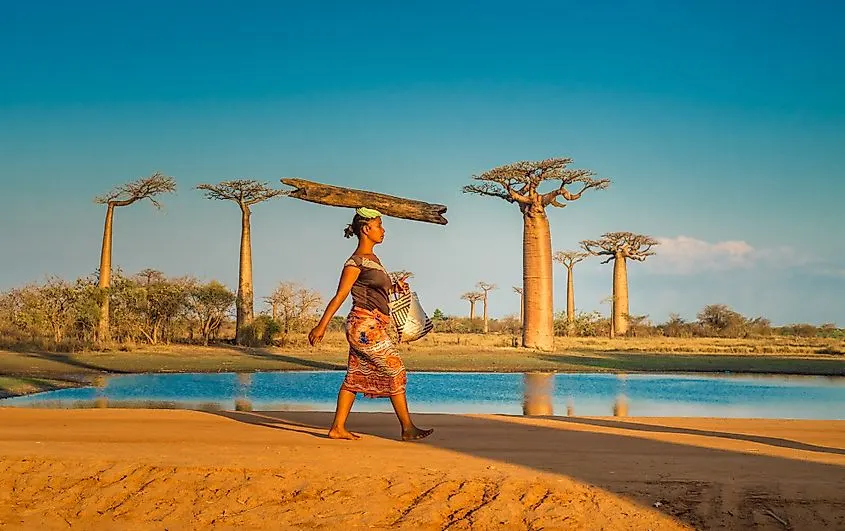 7-day beach and safari Morondava Madagascar Safaris focus across Nosy Be