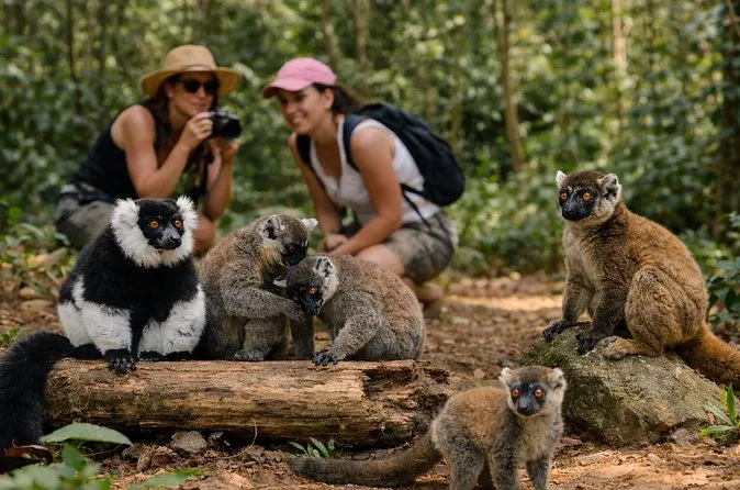 7-day beach and safari Morondava Madagascar Safari Tours in Nosy Be