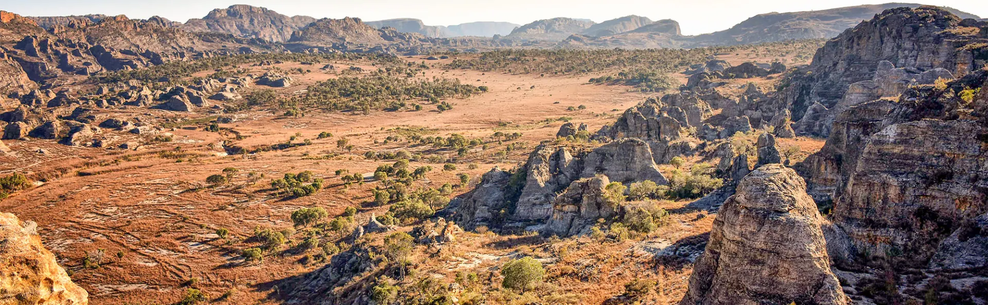 7-day Madagascar Safari Package in Avenue of the Baobabs from uk and Guided time in Nosy Be