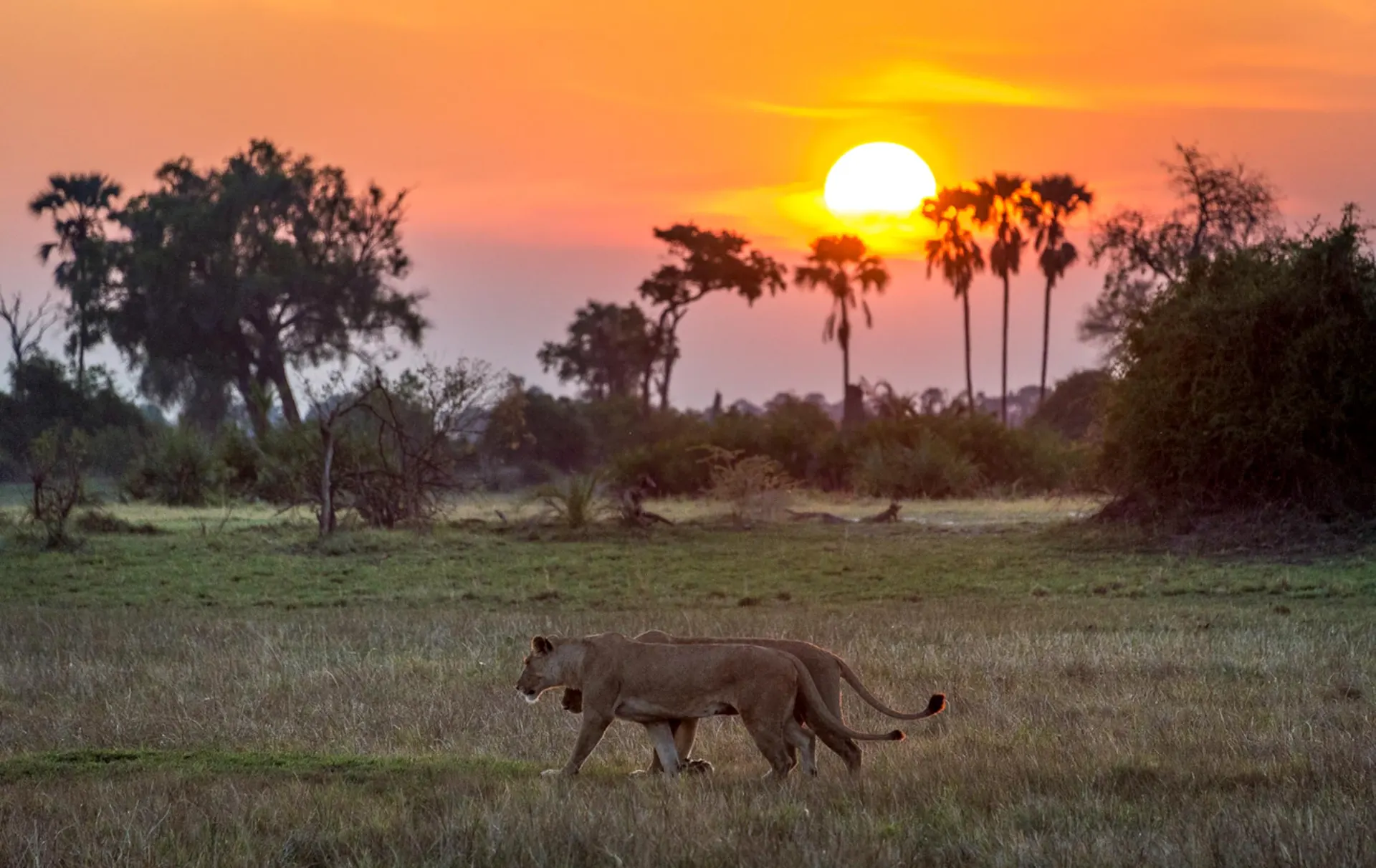 10-day safari Okavango in Okavango Delta On Botswana Tours