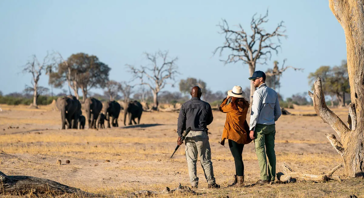 10-day Bulawayo  Zimbabwe Tour Safaris and Guided time in Hwange National Park