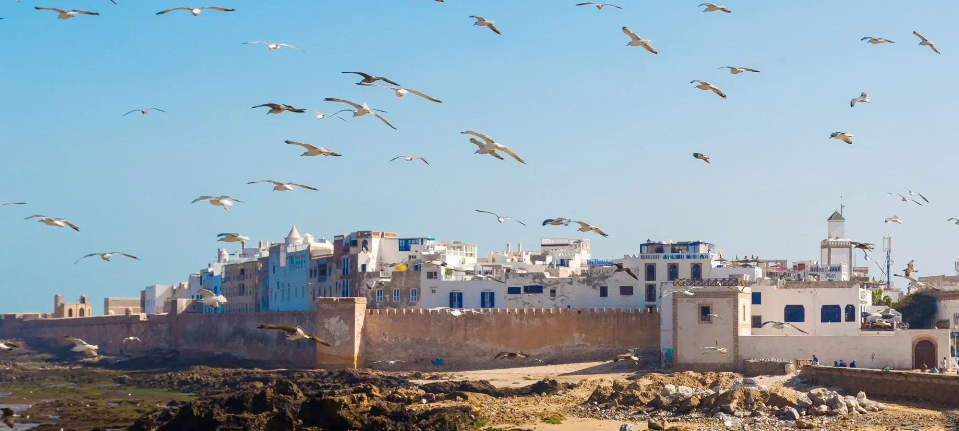 7-day Morocco Marrakech Safari Tour focus across Essaouira coast