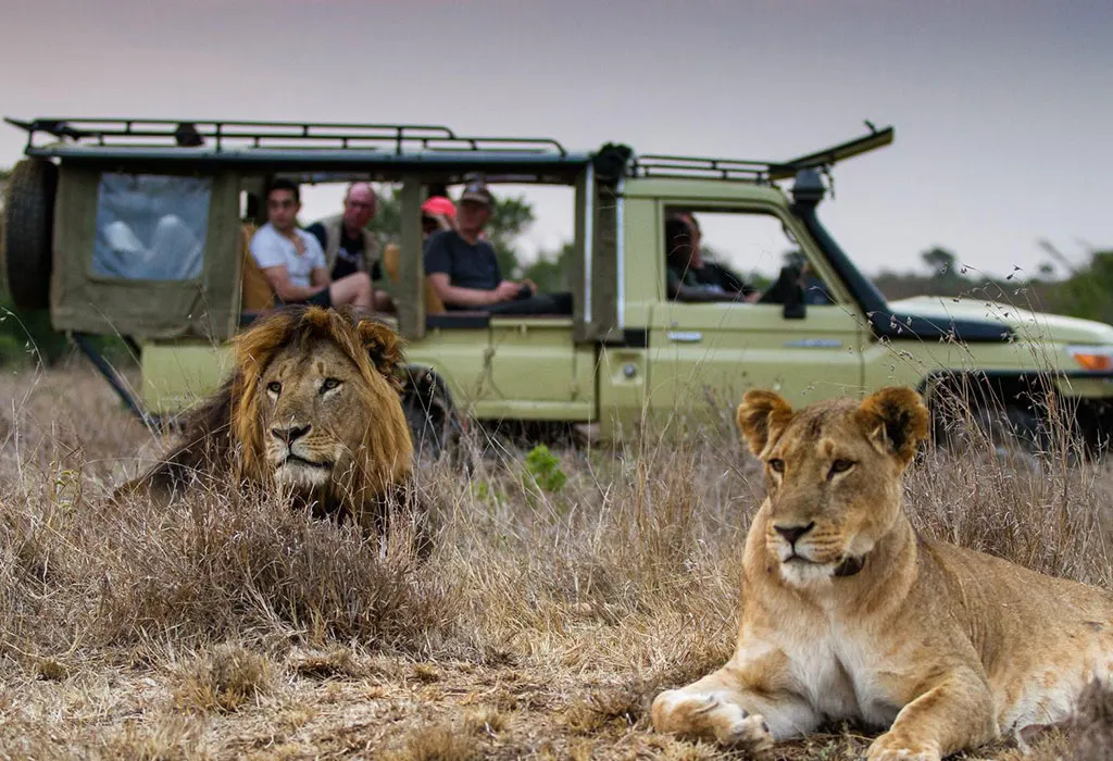 Tanzania Safari Travel Tips: What First Time Visitors Need to Know